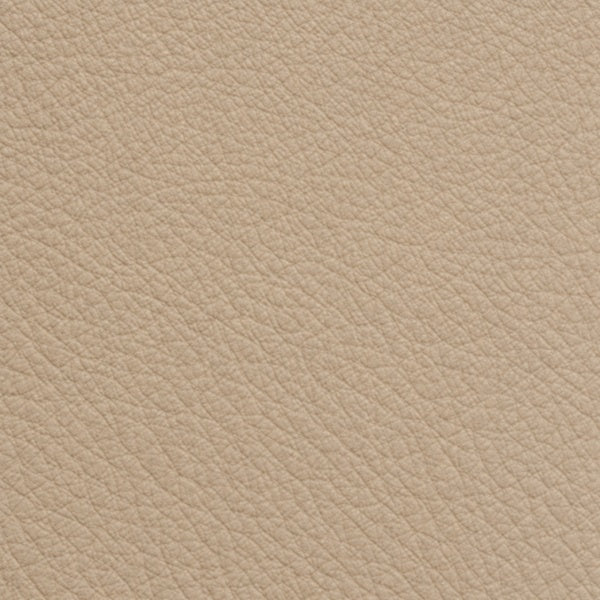 Anilina 9050 – Nocciola