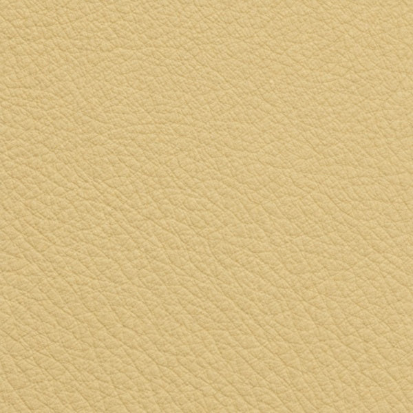 Anilina 9080 – Crema