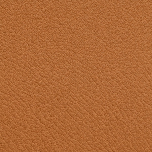 Anilina 9100 – Cognac