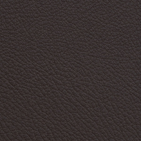 Anilina 9130 – Testa di moro